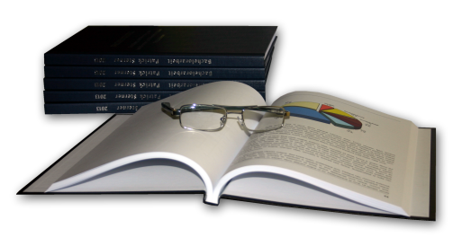 Druck Masterarbeit